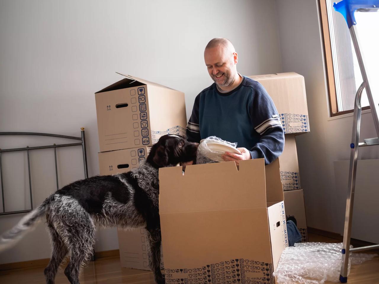 Quick Removals Sydney